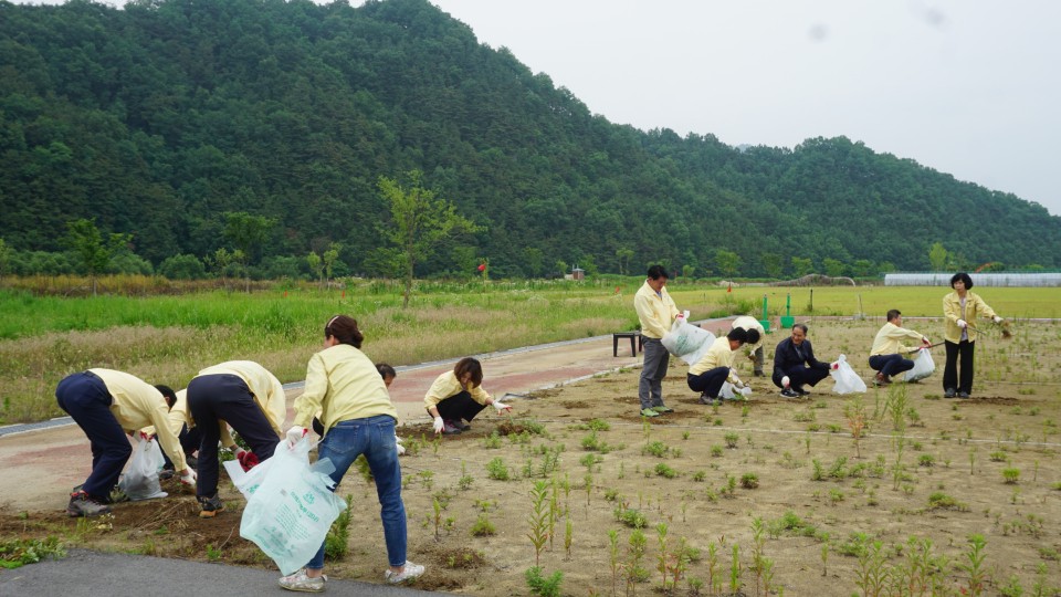 성주군의회, 개원1주년 기념 봉사활동 실시