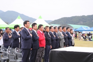 19.JPG