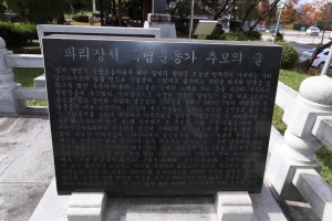 18.JPG