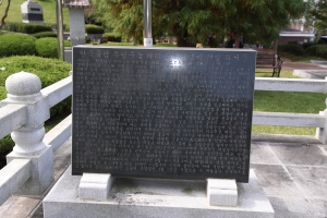 19.JPG